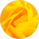 Avena Clarke profile picture